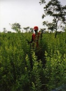 b2f6a0ddc4-img005.jpg-for-web-normal